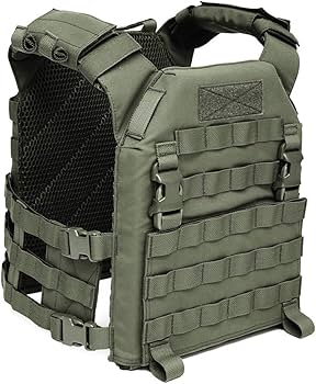Amazon.co.jp: 実物 WARRIOR ASSAULT SYSTEMS WAS Recon Plate Carrier